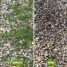 Load image into Gallery viewer, WeedMaster®: Powerful Weed Remover | Get Rid of Weeds in Seconds
